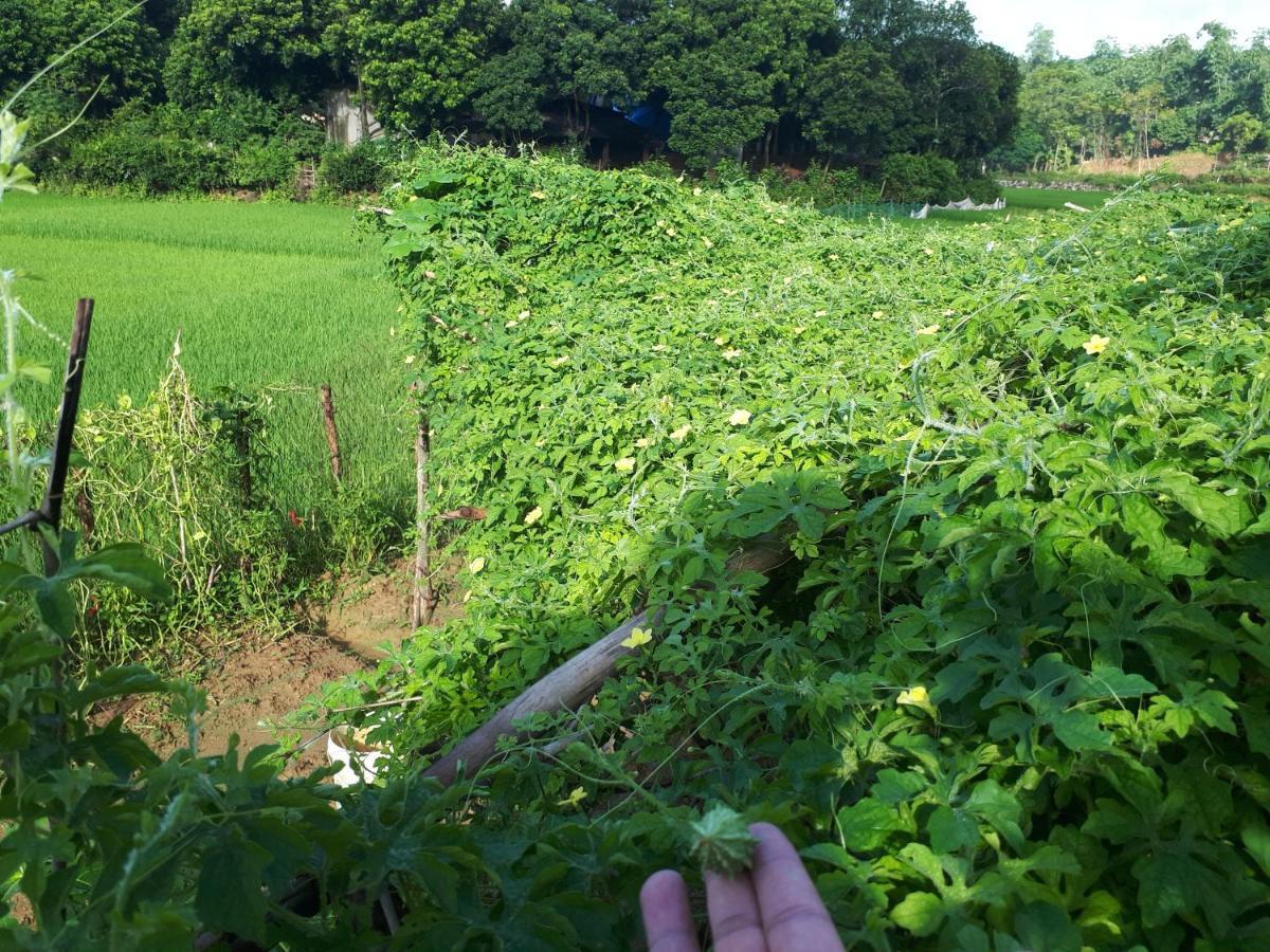 Meadow Mai Chau Homestay Exterior foto