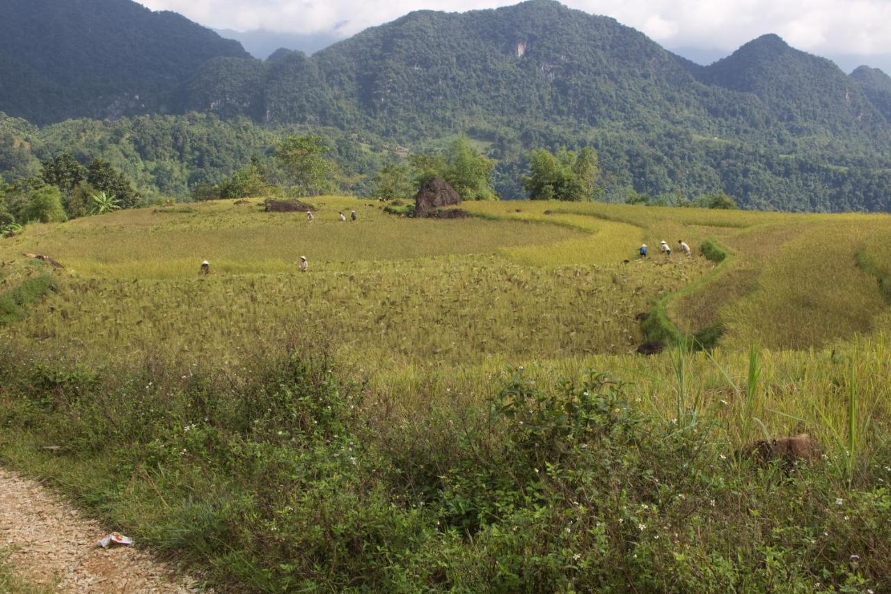 Meadow Mai Chau Homestay Exterior foto